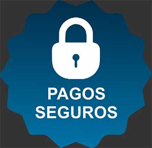 pagos-seguros-1